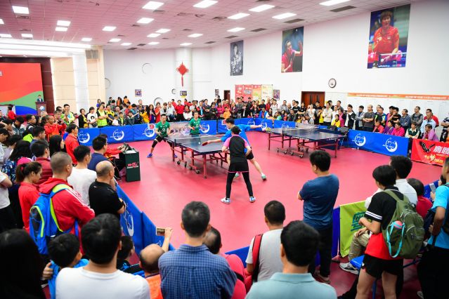 他们建立起 他们建立起